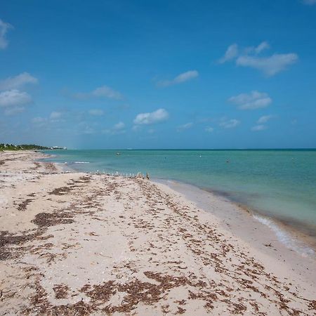 97982 New Modern Villa, Private Pool, High Internet Speed, 2 Blocks From The Beach Pueblo Pueblo Chicxulub エクステリア 写真